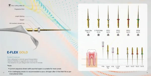 EFLEX GOLD LIMAS ROTATORIAS - Image 4
